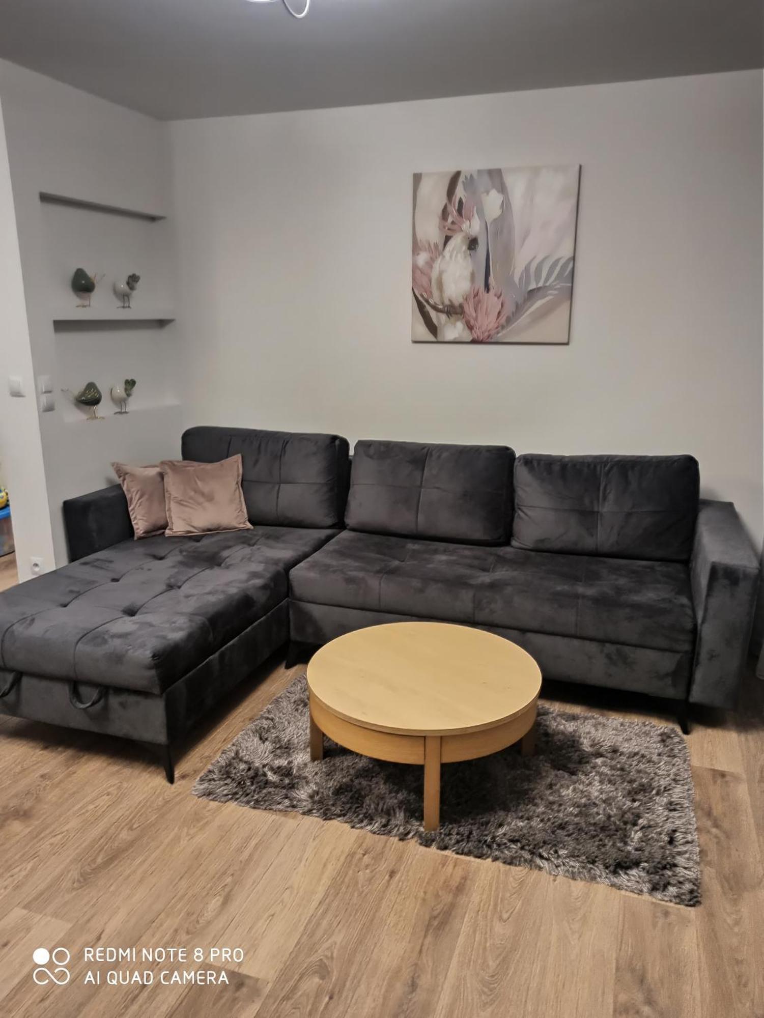 Apartament Apartament Parkowy Rabka Zewnętrze zdjęcie